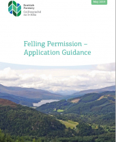 Felling Permission - Application Guidance
